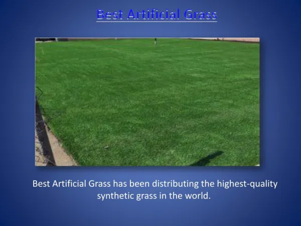 Best Artificial Grass | http://www.bestartificialgrass.com/