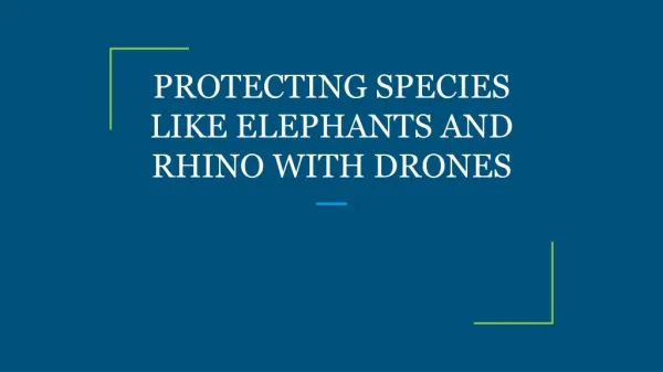 PROTECTING SPECIES LIKE ELEPHANTS AND RHINO WITH DRONES