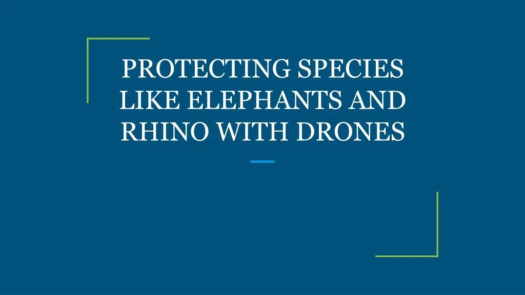 protecting species like elephants and rhino with drones