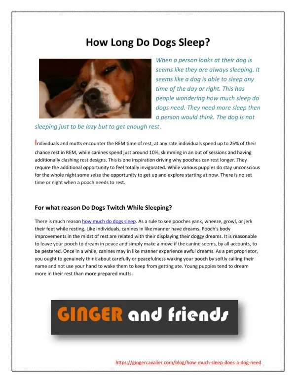 Reason to find - why do dogs sleep so much?