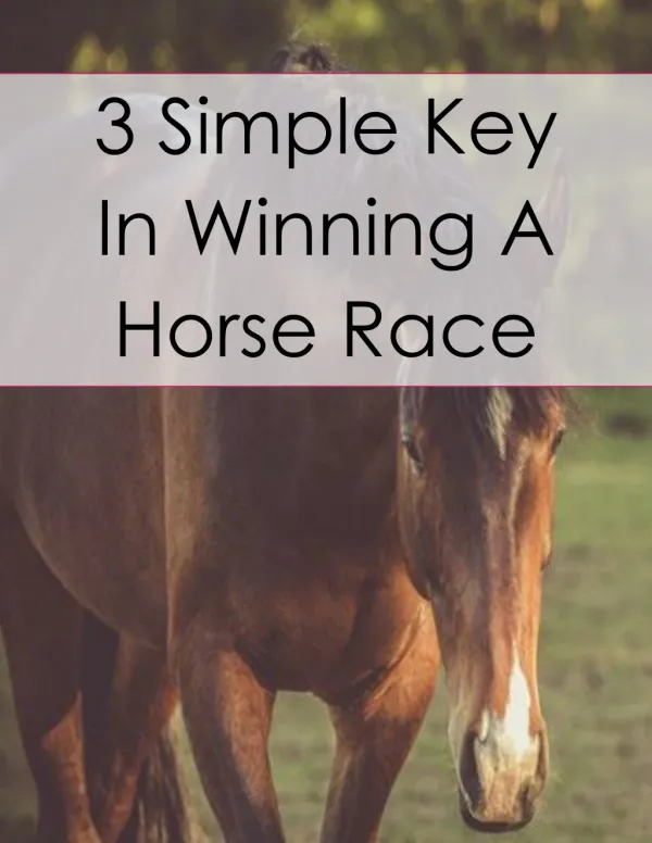 3 Simple Key In Winning A Horse Race