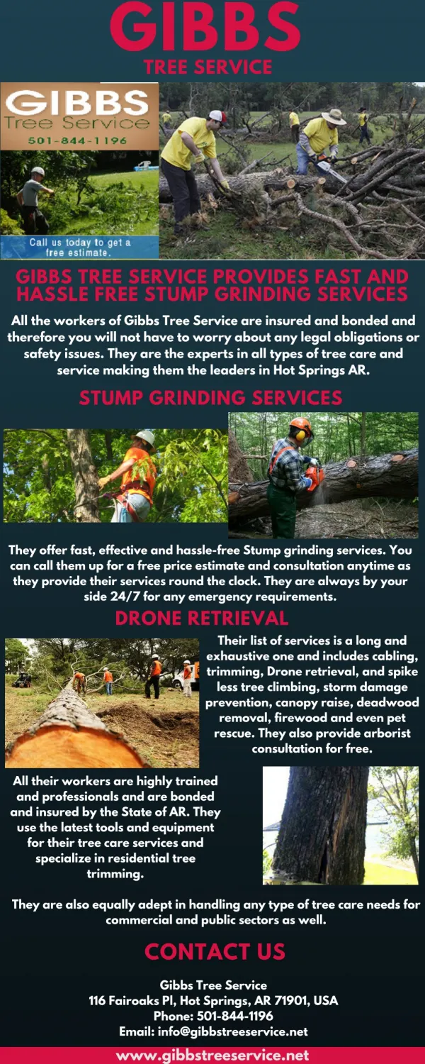 Gibbs Tree Service Provides Fast And Hassle Free Stump Grinding Services