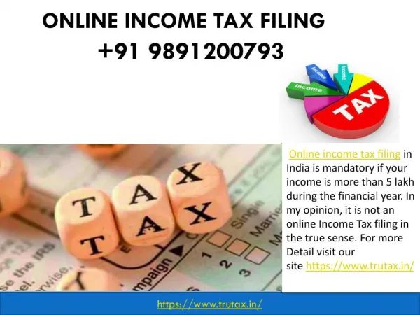Online income tax filing in India 09891200793