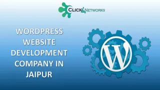 click4networks: Best Wordpress Website Development Company in Jaipur - slide 1