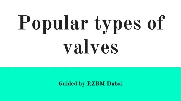 Valve Suppliers in UAE - RZBM Dubai