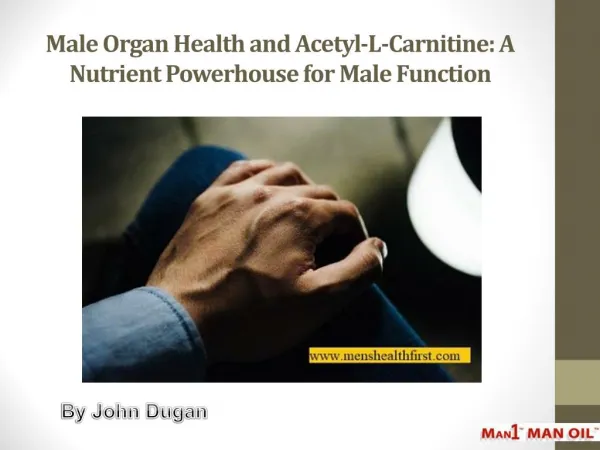 Male Organ Health and Acetyl-L-Carnitine: A Nutrient Powerhouse for Male Function