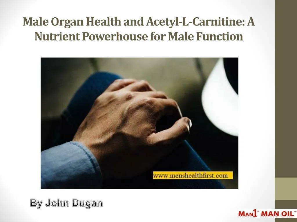 male organ health and acetyl l carnitine a nutrient powerhouse for male function