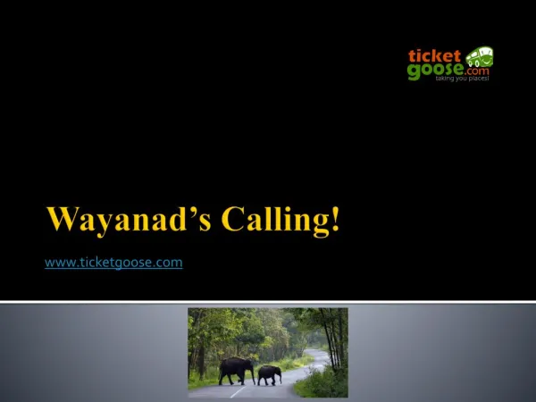 Wayanad’s Calling!