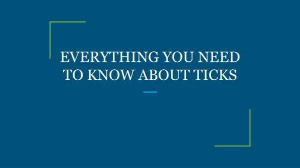 Everything you need to know about ticks