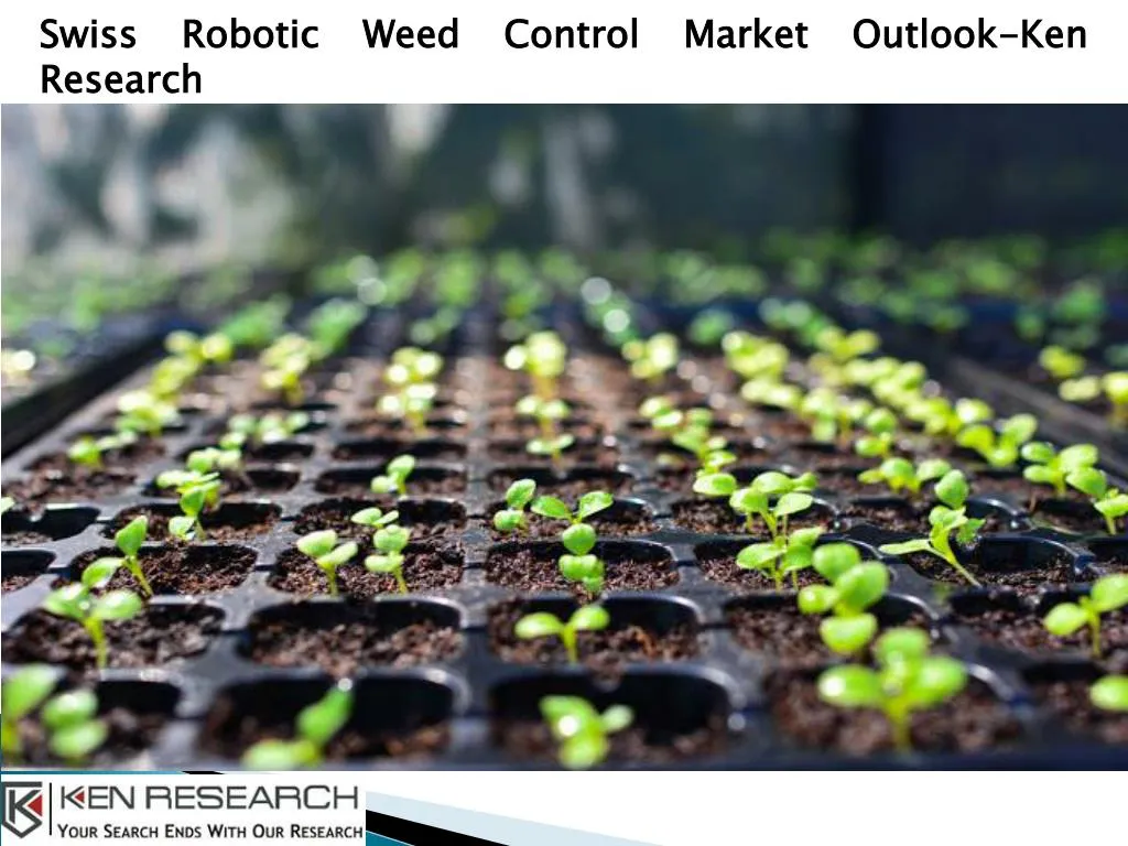 swiss robotic weed control market outlook