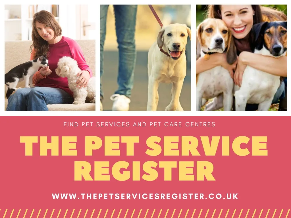 find pet services and pet care centres