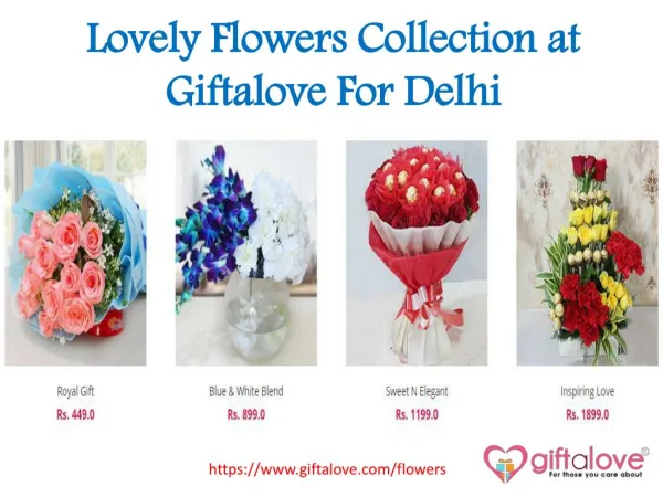 Lovely Flowers Collection at Giftalove For Delhi