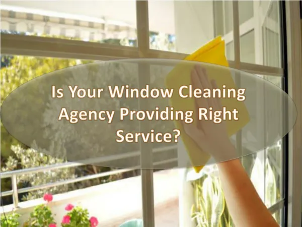 Is Your Window Cleaning Agency Providing Right Service