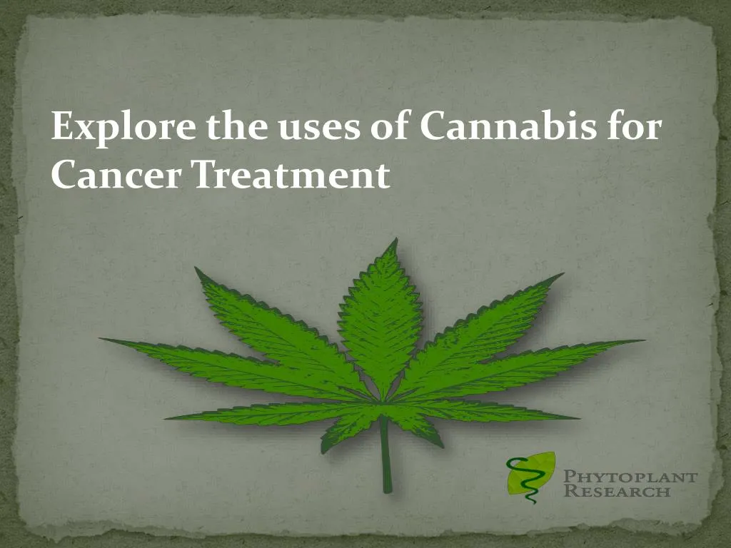 explore the uses of cannabis for cancer treatment