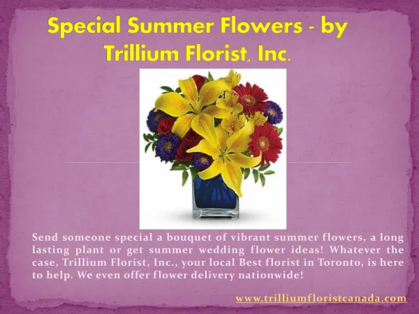 Special Summer Flowers - by Trillium Florist, Inc