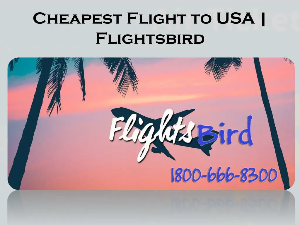 cheapest flight to usa flightsbird