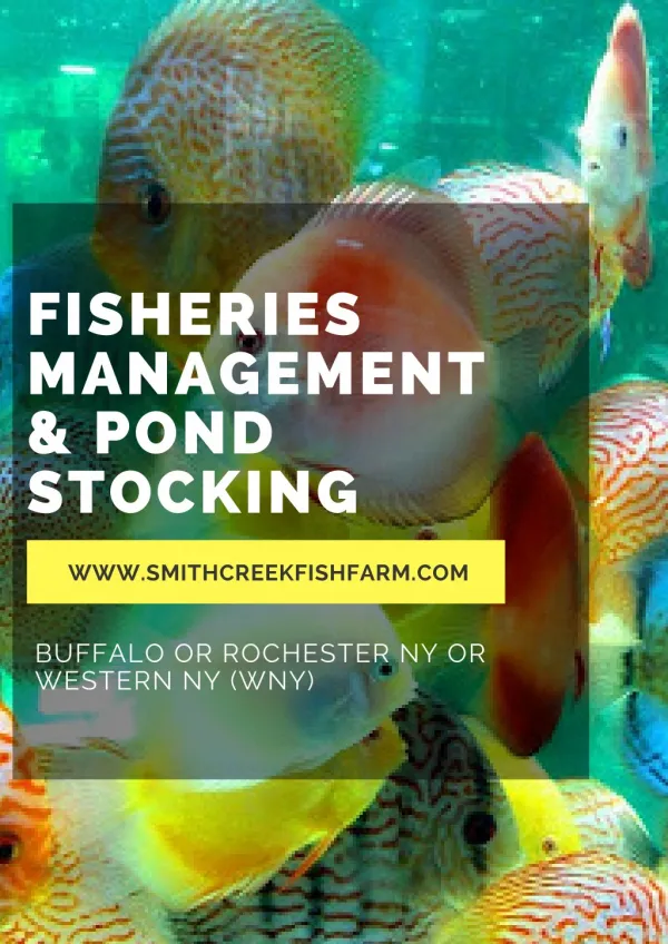 Fisheries Management & Pond Stocking | Smith Creek Fish Farm