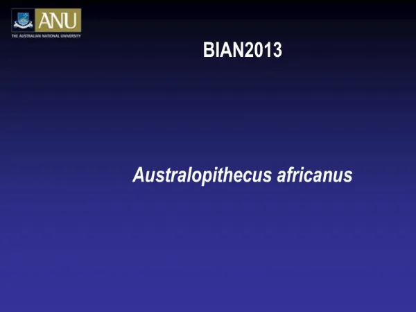 BIAN2013 Australopithecus africanus