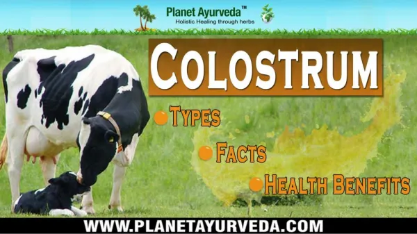 Health Benefits of Cow Colostrum