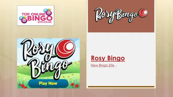 Rosy Bingo - 300% up to £100 | 67 Spins!