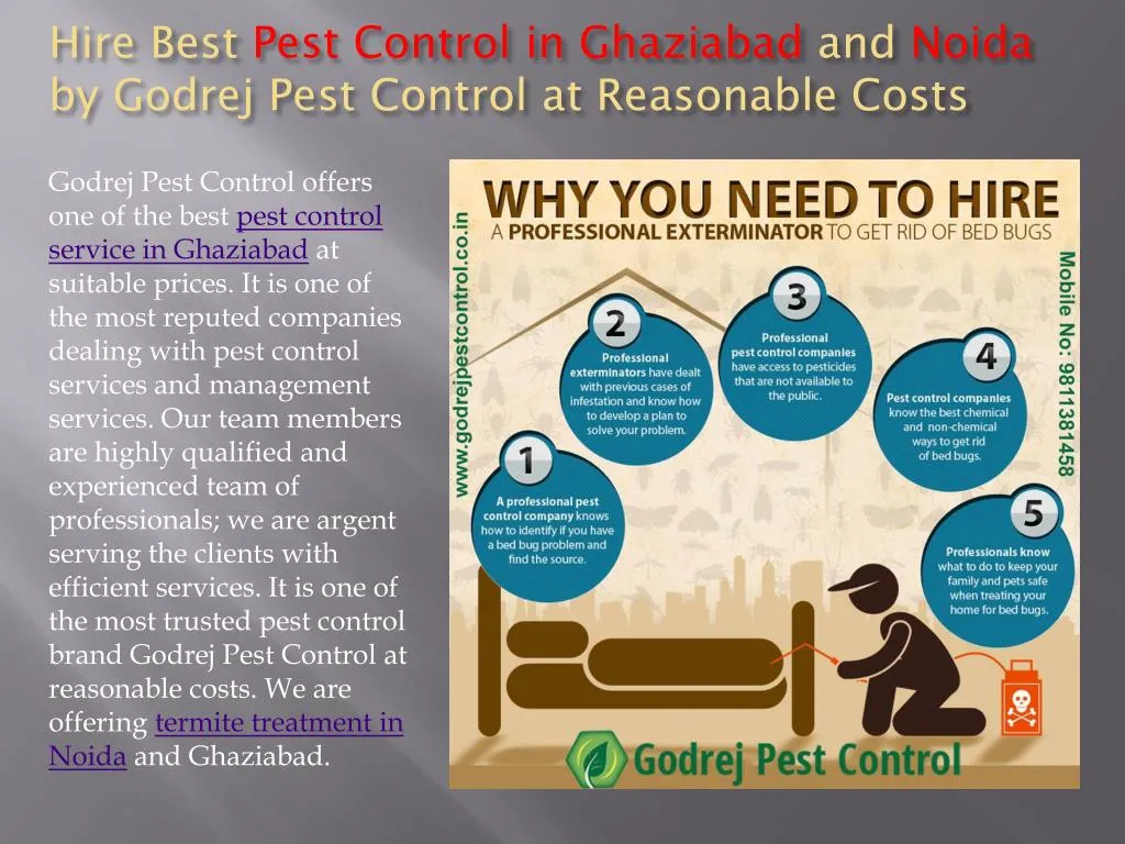hire best pest control in ghaziabad and noida by godrej pest control at reasonable costs