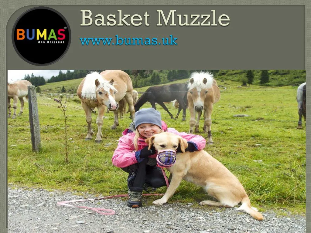 basket muzzle www bumas uk