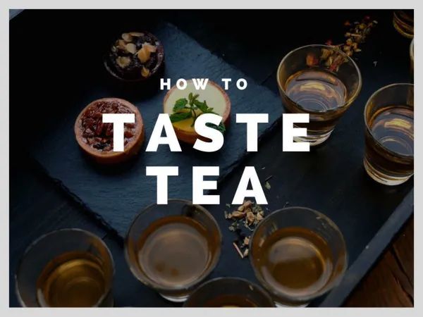 How To Taste Tea