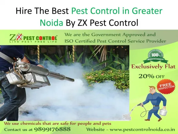 Hire the Best Pest Control in Greater Noida by ZX Pest Control