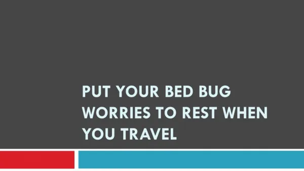 Put Your Bed Bug Worries to Rest When You Travel