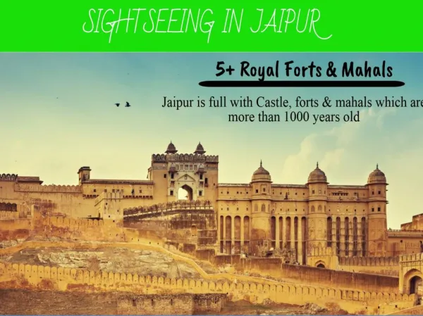 Sightseeing In jaipur