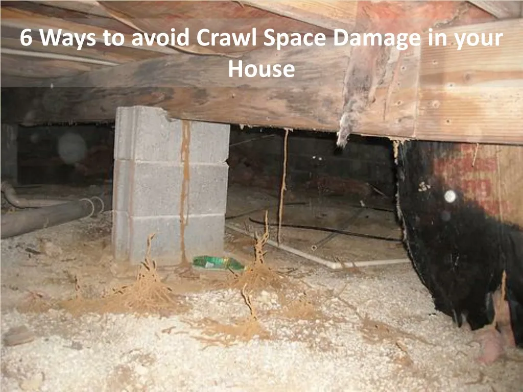 6 ways to avoid crawl space damage in your house