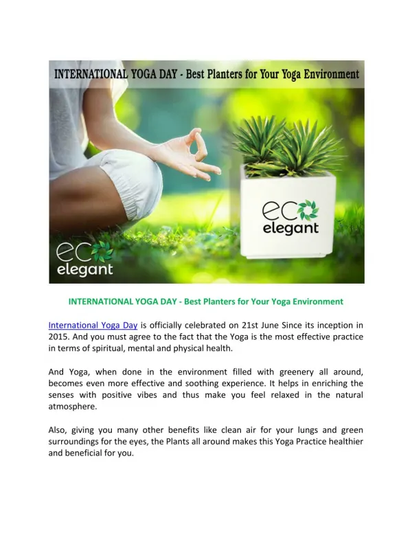INTERNATIONAL YOGA DAY - Best Planters for Your Yoga Environment