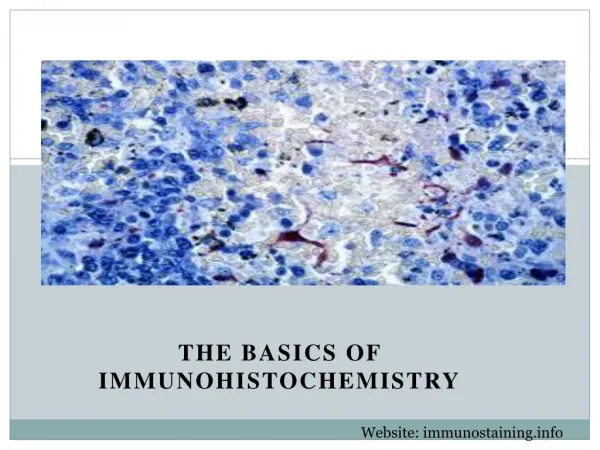 Immunohistochemistry- IHC Introduction | Immunostaining
