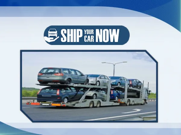 Professional and excellent Vehicle shipping services