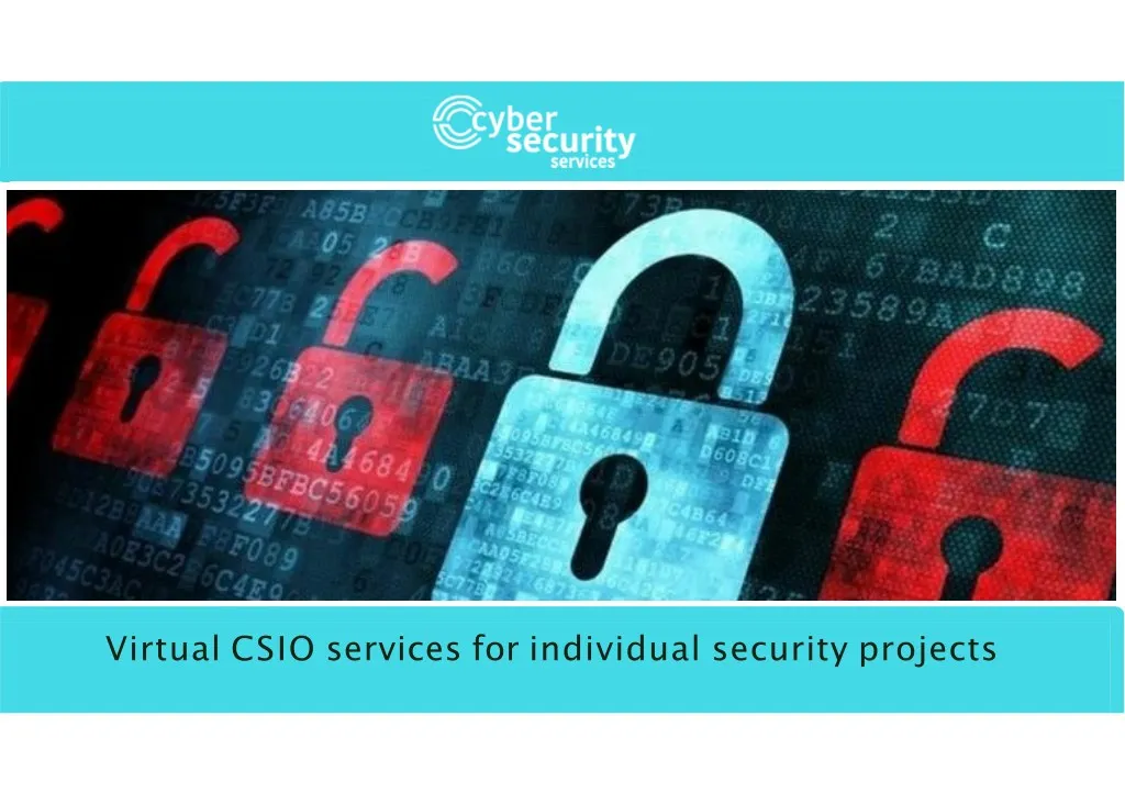 virtual csio services for individual security