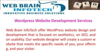 Wordpress Website Development Services - slide 1