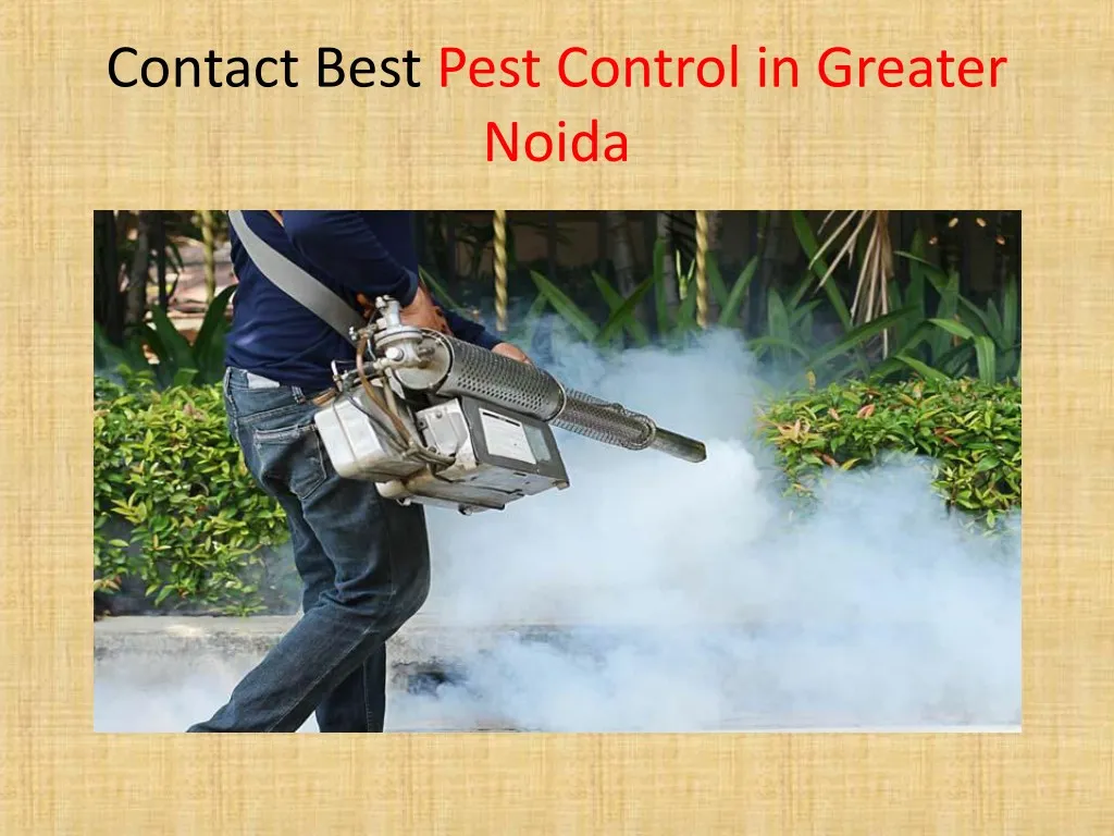 contact best pest control in greater noida