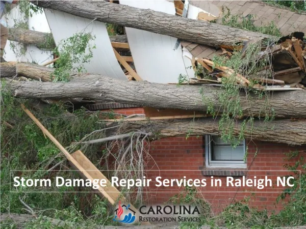 Storm Damage Repair Services in Raleigh NC