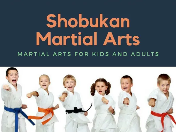 Perth martial arts classes | Shobukan Martial Arts