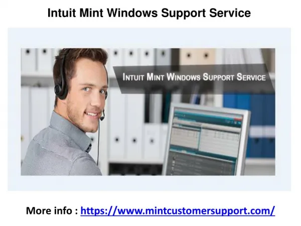 Mint Software Support