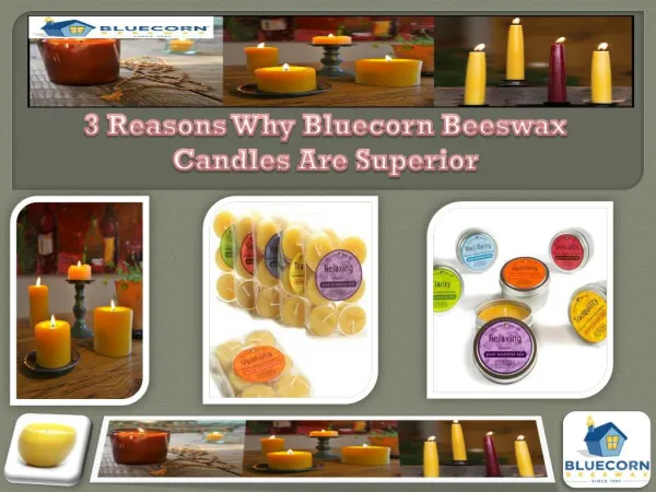 3 Reasons Why Bluecorn Beeswax Candles Are Superior