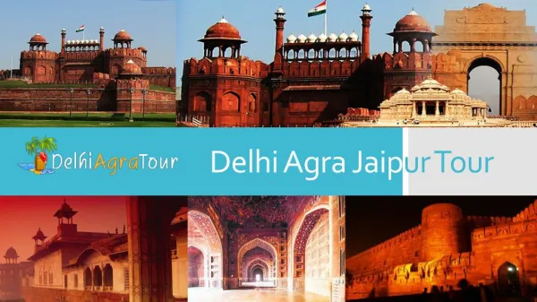 Delhi agra jaipur tour package