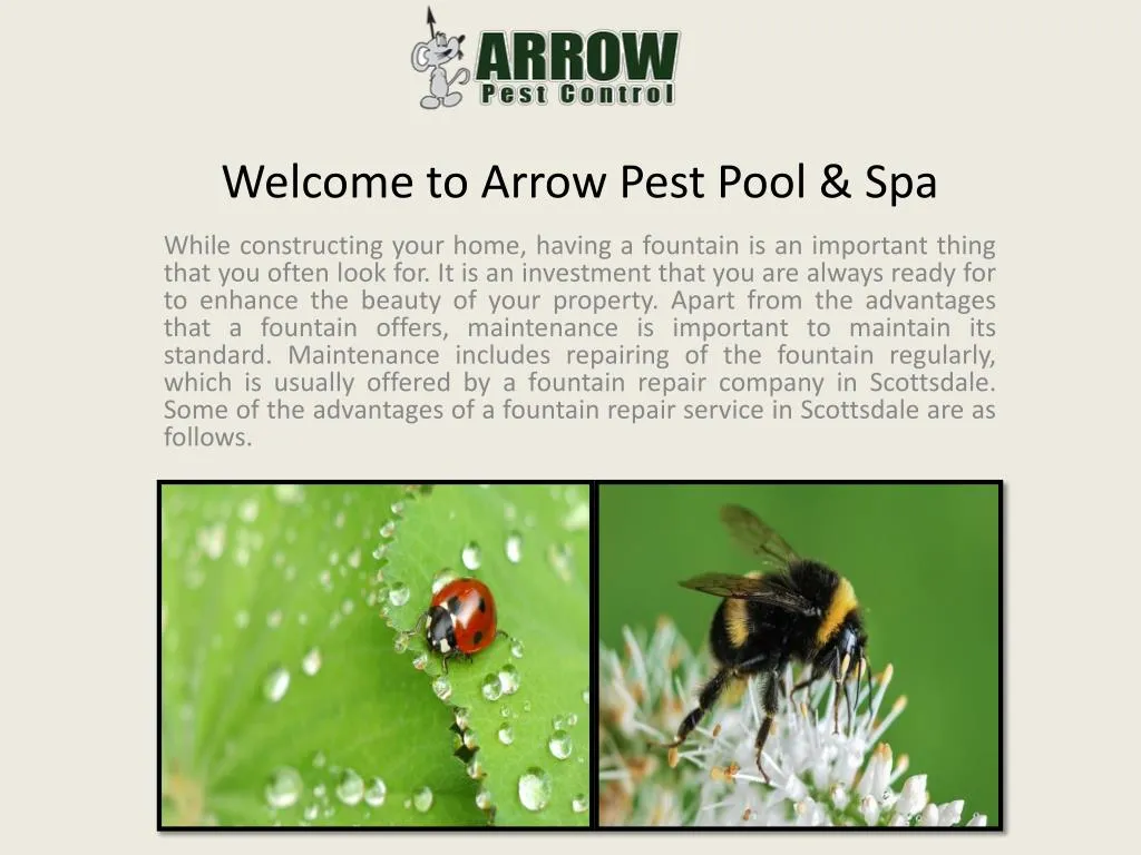 welcome to arrow pest pool spa