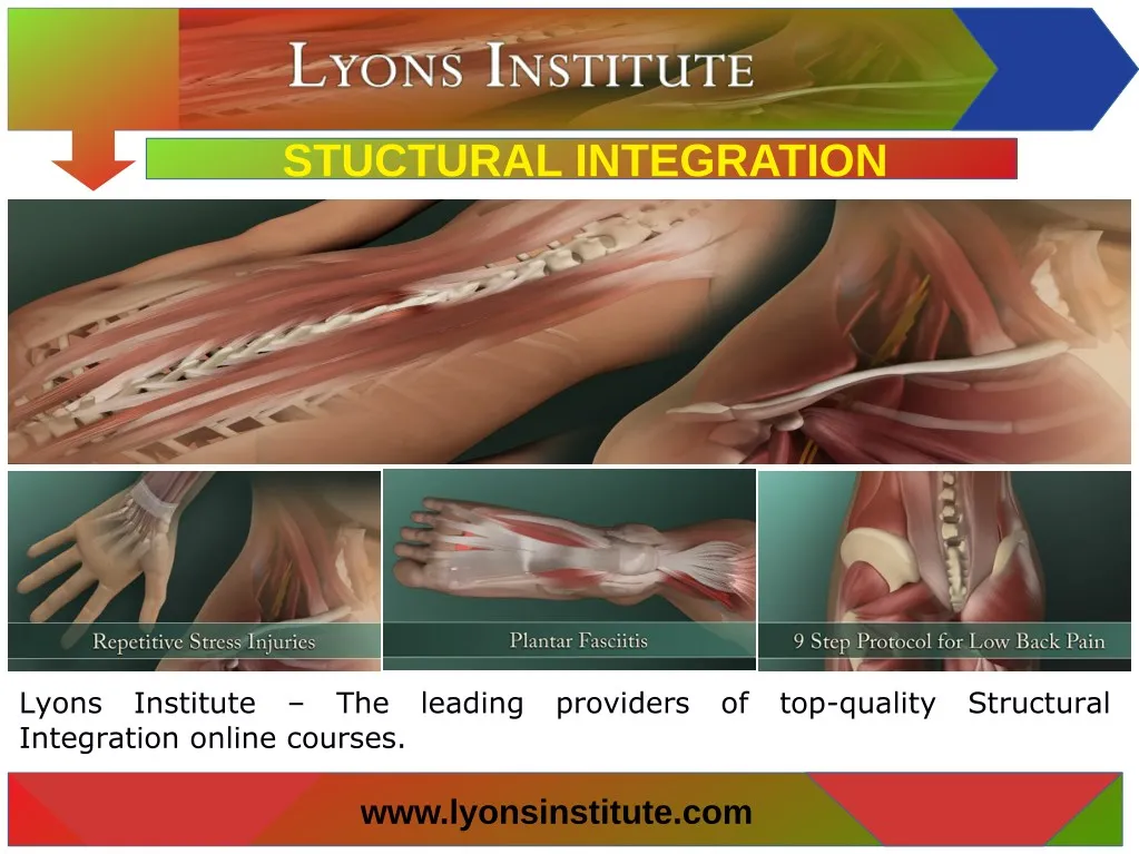 stuctural integration