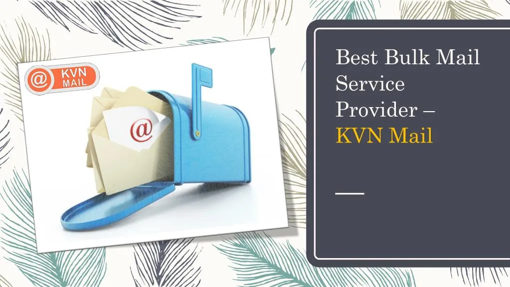 best bulk mail service provider kvn mail