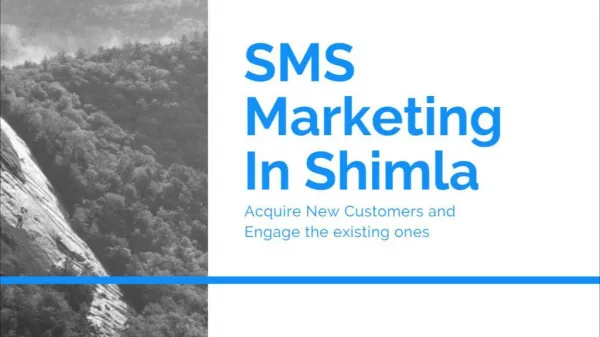 SMS Marketing In Shimla