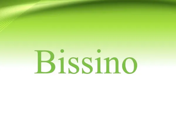 Best Ethnic Brand in Pakistan - Bissino
