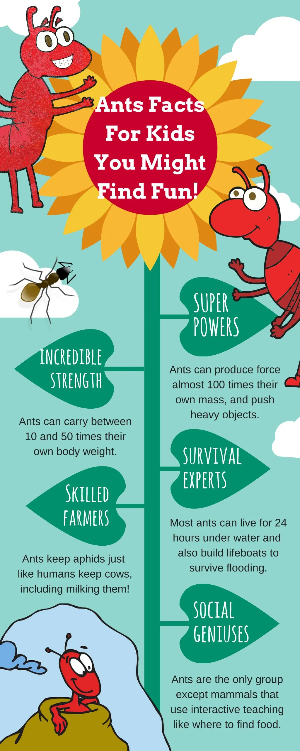 ants facts for kids you might find fun
