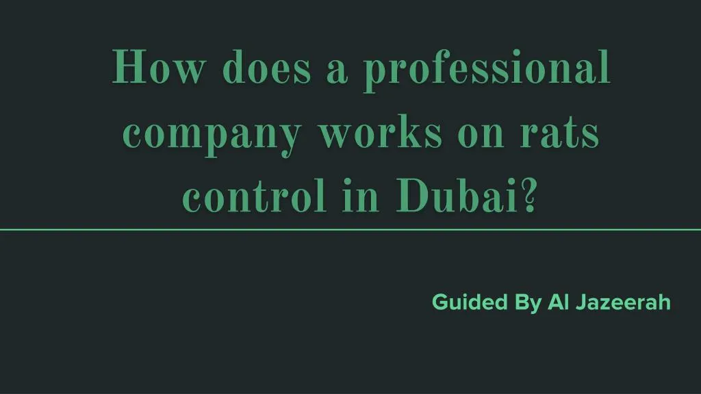 how does a professional company works on rats control in dubai