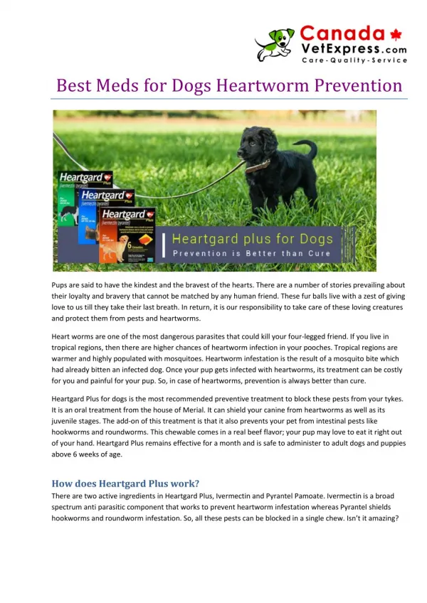 Best meds for Dogs Heartworm Prevention